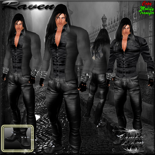 Vampire Legacy - Raven,vampire,dark,goth,biker,steampunk.