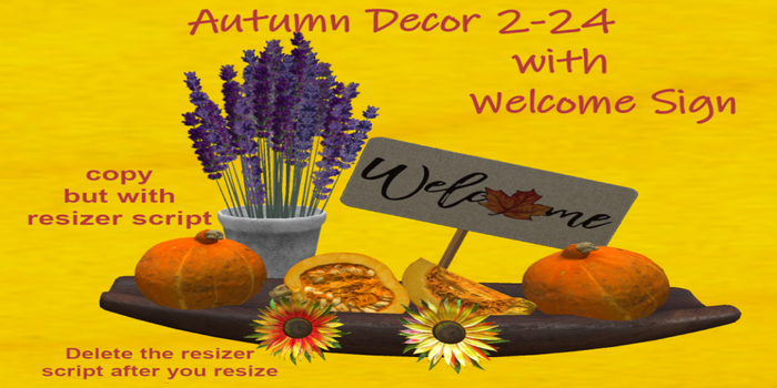 C.M.D. - Autumn DEcor 2-24 NEW VB
