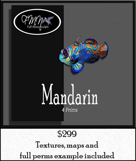 Full Perms Sculpted Mandarinfish