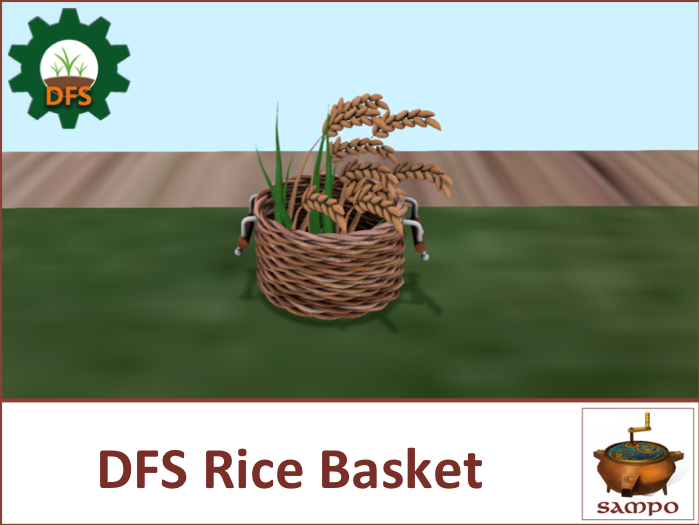 DFS Rice Basket