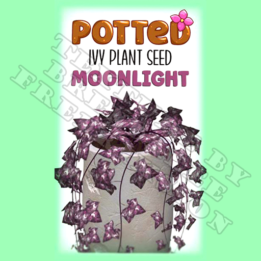 Potted: Ivy Plant Seed: Moonlight (ACTUAL PLANT SEED) - Retired!