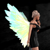 Wild Rose Fairy Wings N54