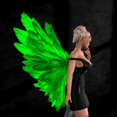 Wild Rose Fairy Wings N57