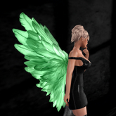 Wild Rose Fairy Wings N58