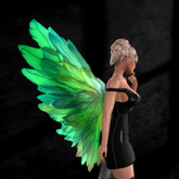 Wild Rose Fairy Wings N59