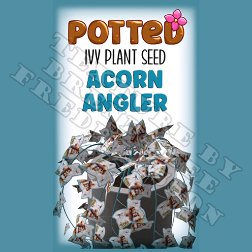 Potted: Ivy Plant Seed: Acorn Angler (ACTUAL PLANT SEED)