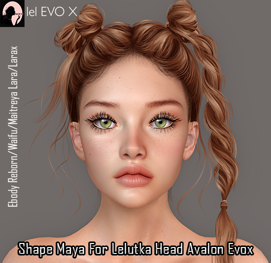 Shape  Maya for Lelutka  Head Avalon   Evox
