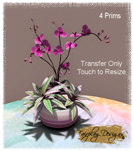 ~R~Pink Orchids w Oyster planting Display