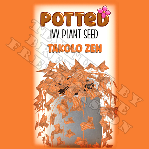 Potted: Ivy Plant Seed: Takolo Zen (ACTUAL PLANT SEED)