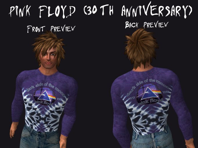 PINK FLOYD (30TH ANNIVERSARY)