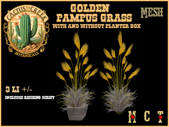 Golden Pampas Grass