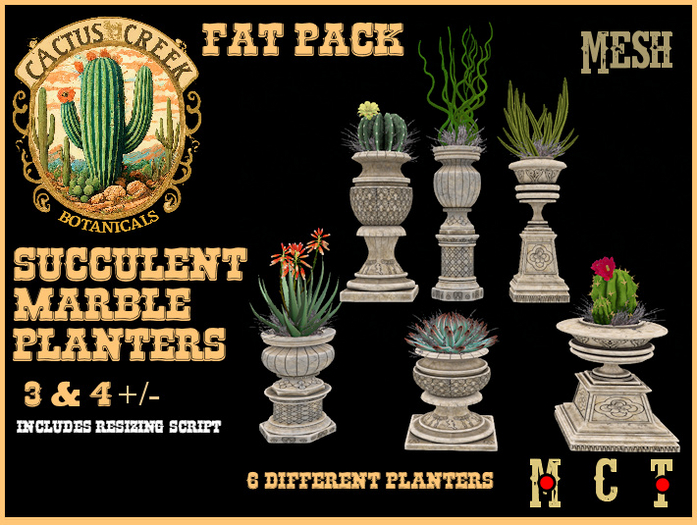 Succulent Marble Planter Fat Pack