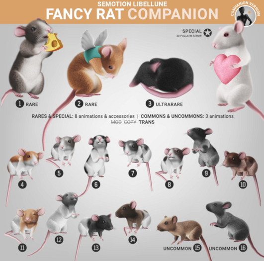 SEmotion Libellune Fancy Rat Companion RARE 02