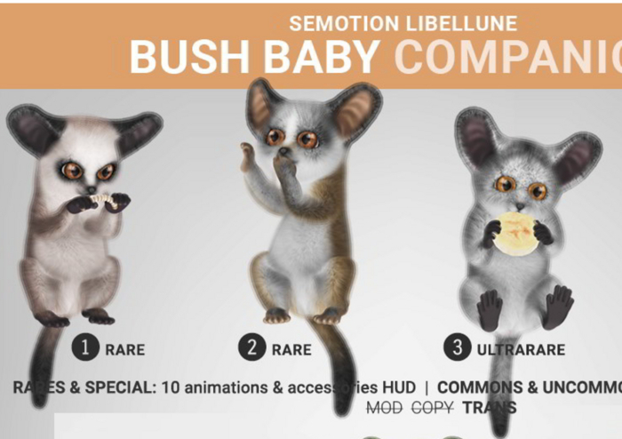 SEmotion Libellune Bush Baby Companion RARE 01