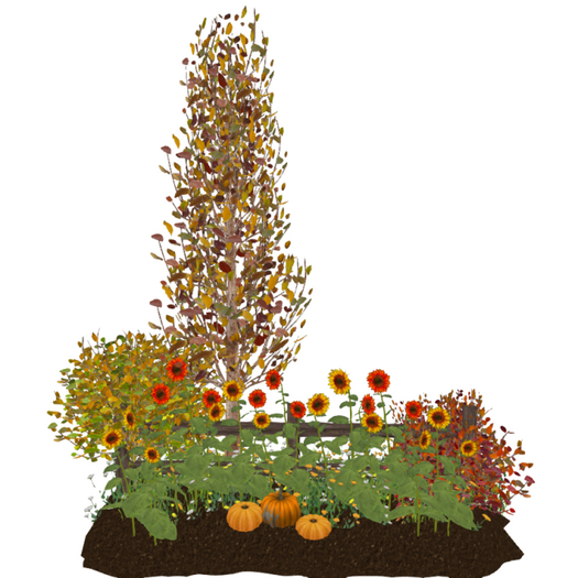 Fall'24 Sunflower Border(18LI, 6x4)