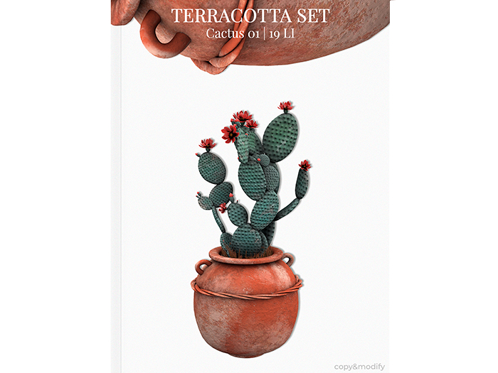 MINIMAL - Terracotta Cactus 01