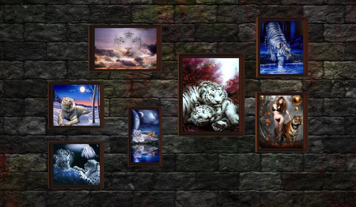 Tiger Pictures  (Boxed)