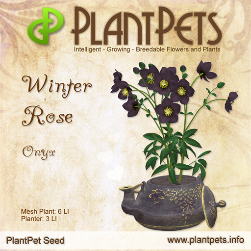 PlantPet Seed [Winter Rose *Onyx*] COMMON