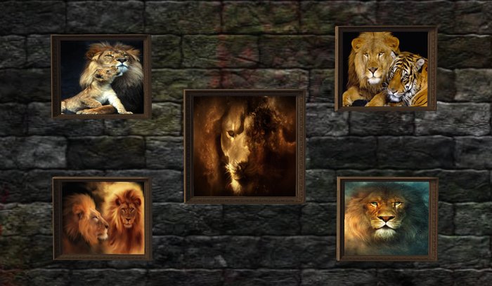 Lion Pictures  (Boxed)