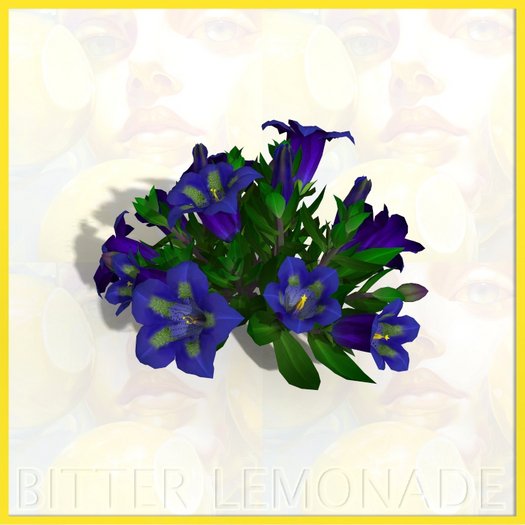 Flowers Garden