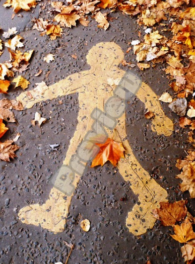 Leaf Man