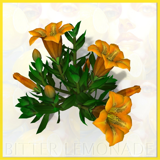 Garden Flower