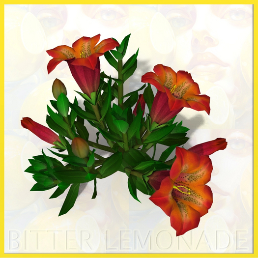 Garden Flower