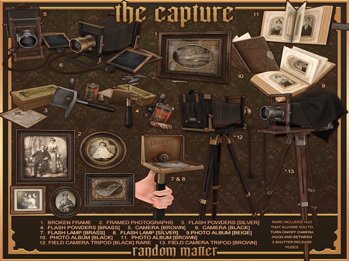 13. Random Matter - The Capture - Field Camera [Brown] RARE