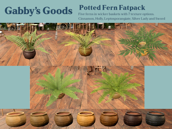 Potted Fern Fatpack