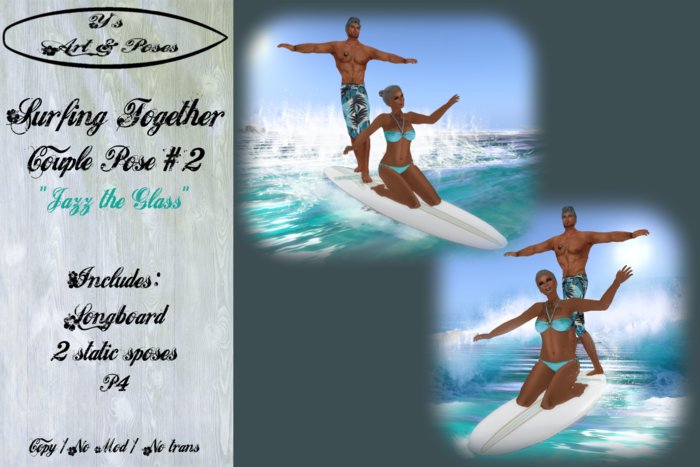 *~* Y's Art&Poses - Surfing Together 2