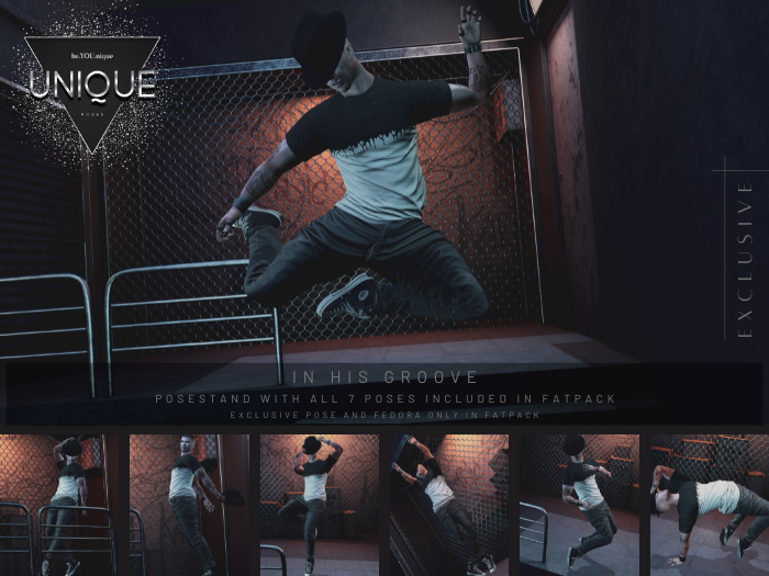 UNIQUE Poses - In His Groove - FATPACK (ADD)