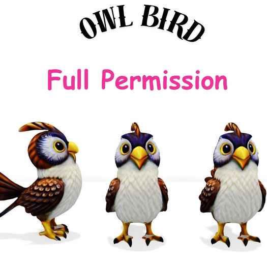[MB] Owl bird FP