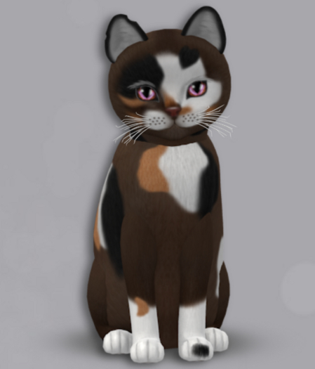 KittyCatS Box 179 M