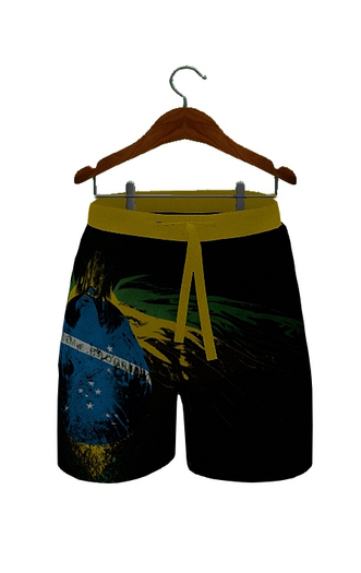 BRAZIL SURF SHORTS