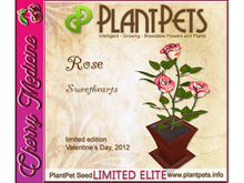 PlantPet Seed [Rose *Sweethearts*]