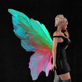 Wild Rose Fairy Wings B9