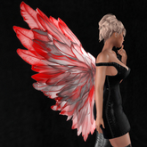 Wild Rose Fairy Wings B12