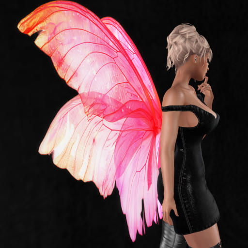 Wild Rose Fairy Wings B15