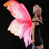 Wild Rose Fairy Wings B15
