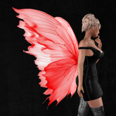 Wild Rose Fairy Wings B23