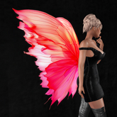 Wild Rose Fairy Wings B24