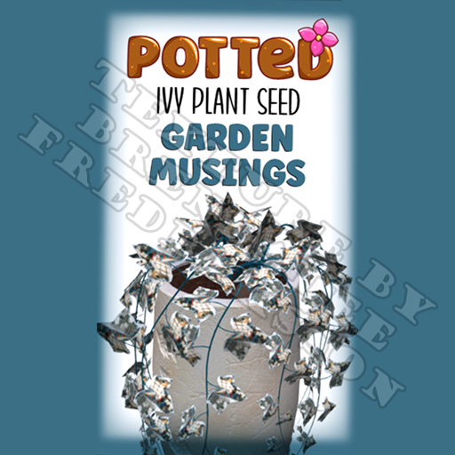Potted: Ivy Plant Seed: Garden Musings (ACTUAL PLANT SEED)