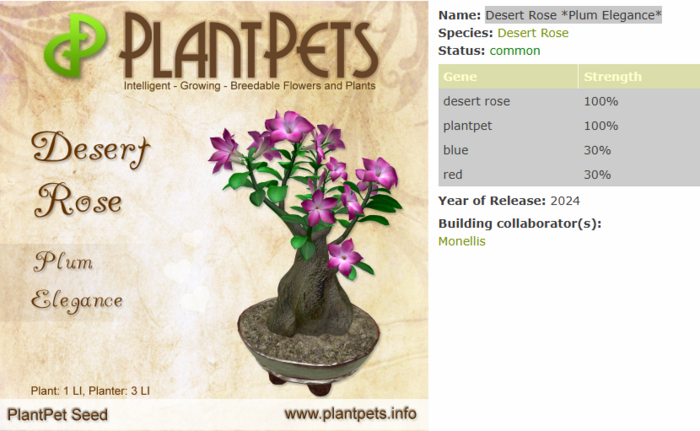 PlantPet Seed [Desert Rose *Plum Elegance*]