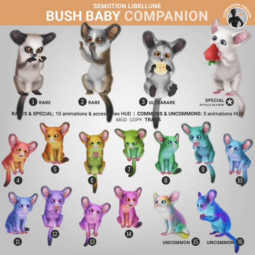SEmotion Libellune Bush Baby Companion UNCOMMON 15