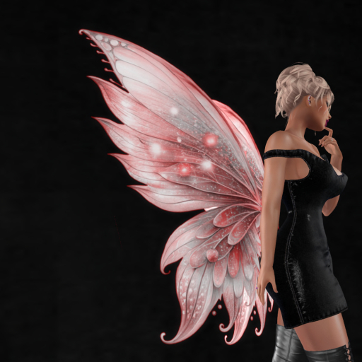 Wild Rose Fairy Wings  B28