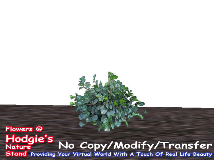 Flowerbox Greens (1 Prim Sculpty Plant)