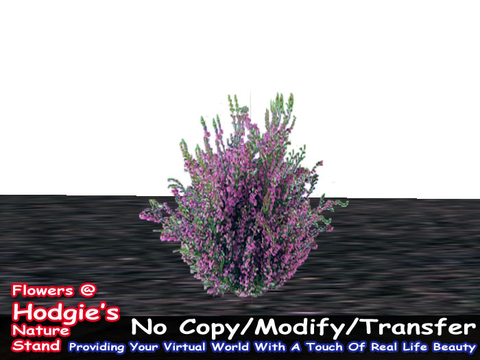 Hodgie's Flowers & Plants  -  Heather (1 Prim Plant)(1 prim sculpty)