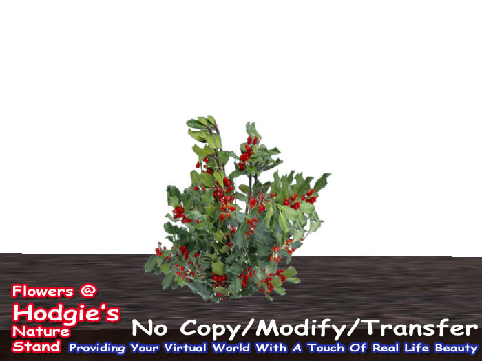 Hodgie's Flowers & Plants  -  Holly Bush  (1 prim plant) (one prim sculpty)