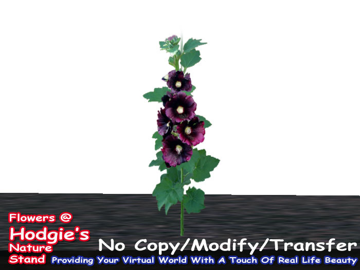 Hodgie's Flowers & Plants  -  Hollyhock Black 1 prim Sculpty