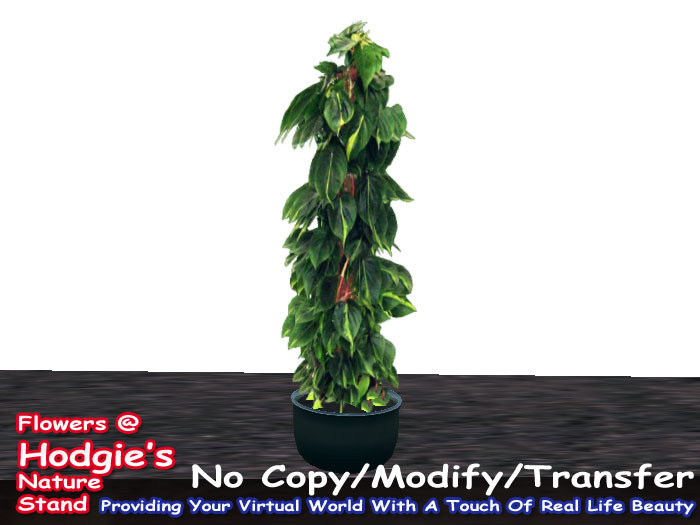 Hodgie's Flowers & Plants  -  Ivy On A Post In Black Sculptie Pot (One Prim Plant)